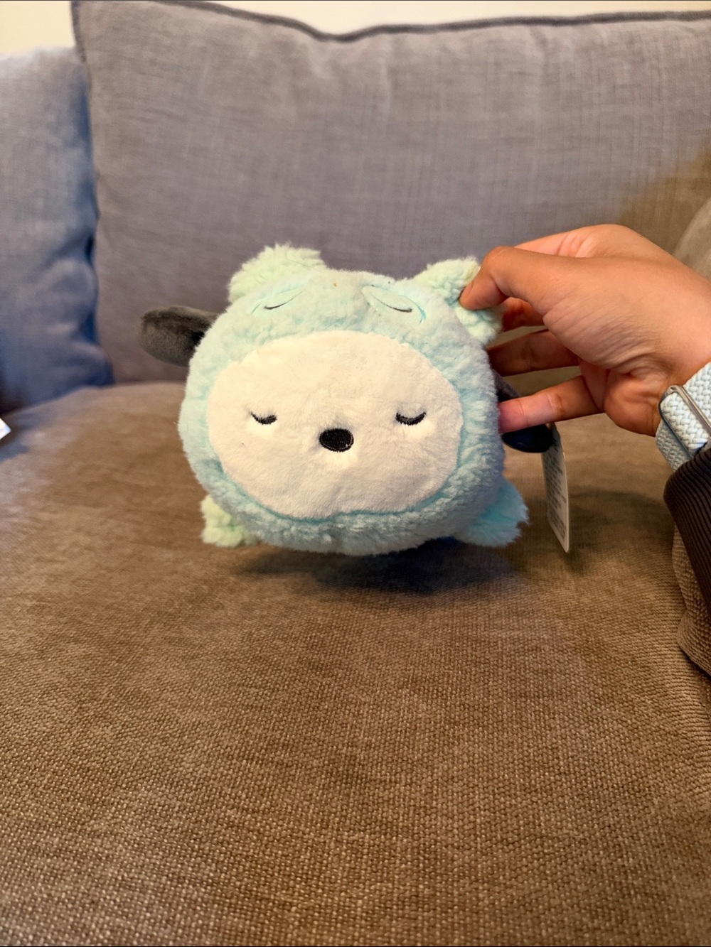 Rare Sanrio Pochacco Fuzzy Plush